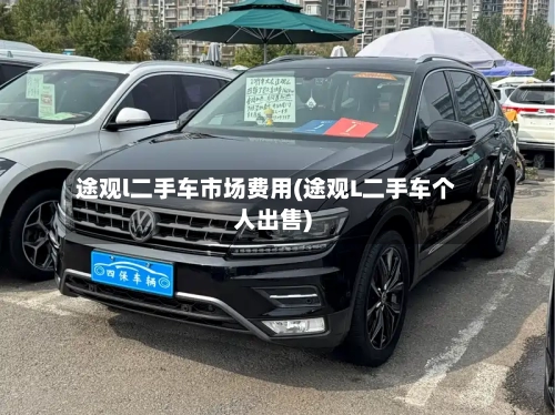 途观l二手车市场费用(途观L二手车个人出售)