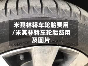 米其林轿车轮胎费用/米其林轿车轮胎费用及图片-第3张图片