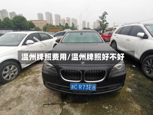 温州牌照费用/温州牌照好不好-第3张图片
