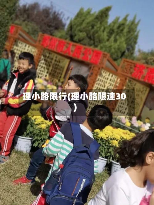 理小路限行(理小路限速30)-第3张图片