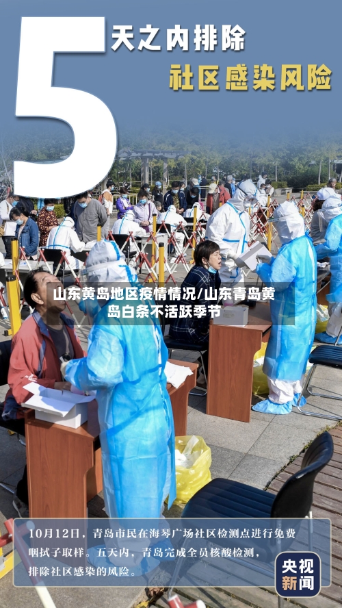 山东黄岛地区疫情情况/山东青岛黄岛白条不活跃季节-第3张图片