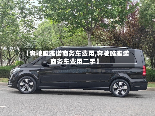 【奔驰唯雅诺商务车费用,奔驰唯雅诺商务车费用二手】-第3张图片