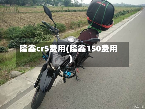 隆鑫cr5费用(隆鑫150费用)-第2张图片