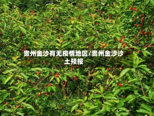 贵州金沙有无疫情地区/贵州金沙沙土预报