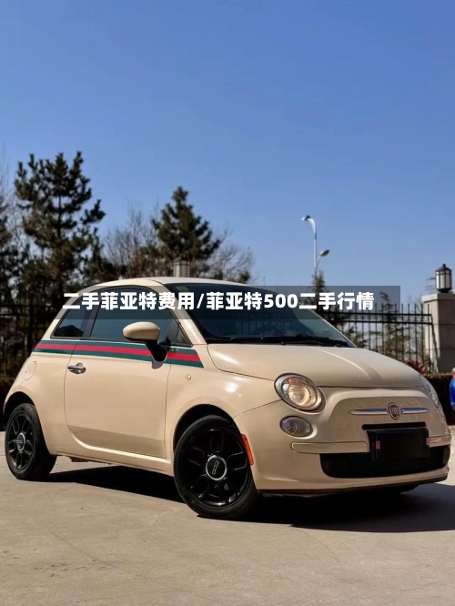 二手菲亚特费用/菲亚特500二手行情-第2张图片