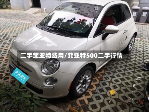 二手菲亚特费用/菲亚特500二手行情