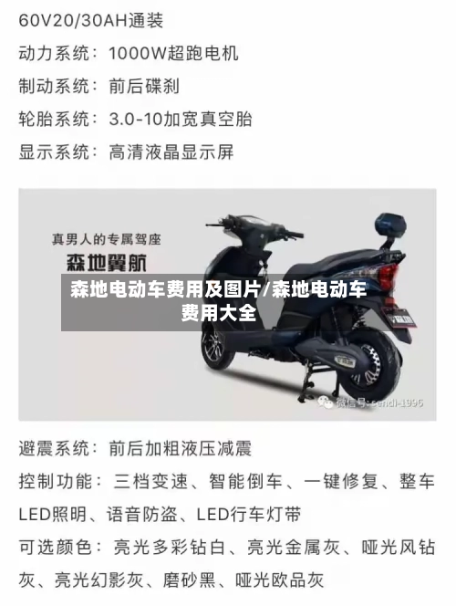 森地电动车费用及图片/森地电动车费用大全