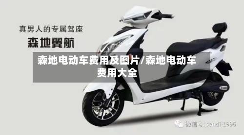 森地电动车费用及图片/森地电动车费用大全-第2张图片
