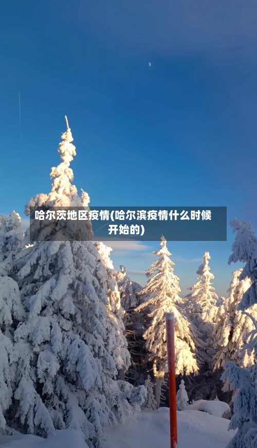哈尔茨地区疫情(哈尔滨疫情什么时候开始的)