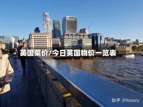 英国菜价/今日英国物价一览表-第2张图片
