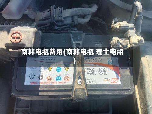 南韩电瓶费用(南韩电瓶 理士电瓶)