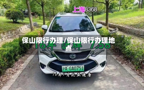 保山限行办理/保山限行办理地点-第2张图片