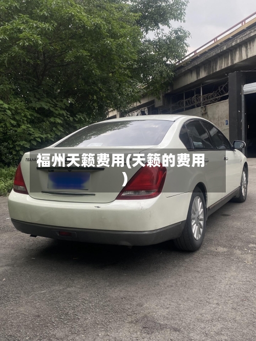 福州天籁费用(天籁的费用)