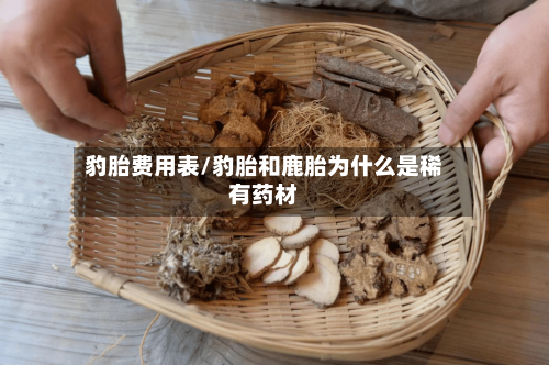 豹胎费用表/豹胎和鹿胎为什么是稀有药材-第2张图片
