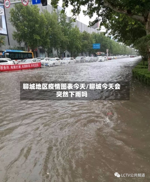 聊城地区疫情图表今天/聊城今天会突然下雨吗-第2张图片