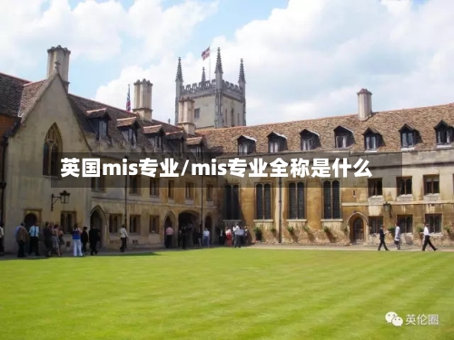 英国mis专业/mis专业全称是什么-第2张图片