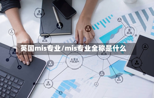 英国mis专业/mis专业全称是什么