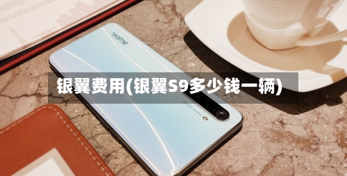 银翼费用(银翼S9多少钱一辆)-第2张图片