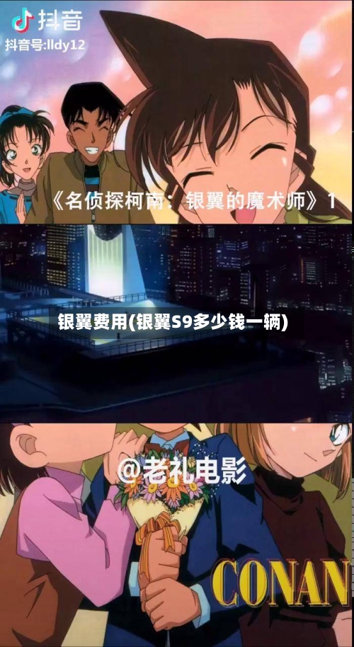 银翼费用(银翼S9多少钱一辆)