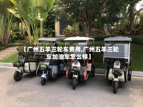 【广州五羊三轮车费用,广州五羊三轮车加油车怎么样】-第3张图片