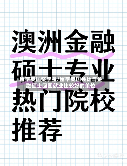 留学英国奖学金/留学英国会计与金融硕士回国就业比较好的单位-第2张图片
