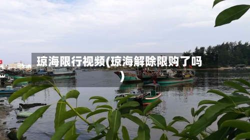 琼海限行视频(琼海解除限购了吗)-第2张图片