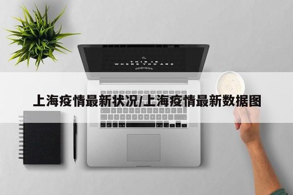上海疫情最新状况/上海疫情最新数据图
