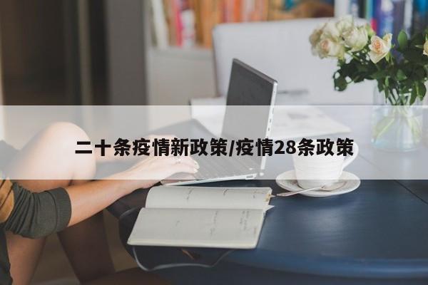 二十条疫情新政策/疫情28条政策