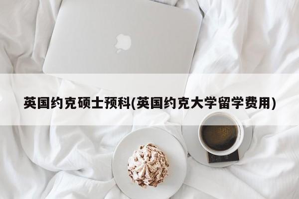 英国约克硕士预科(英国约克大学留学费用)