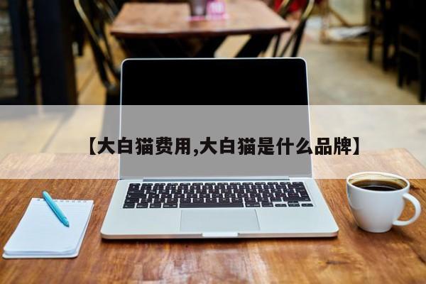 【大白猫费用,大白猫是什么品牌】