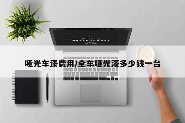 哑光车漆费用/全车哑光漆多少钱一台
