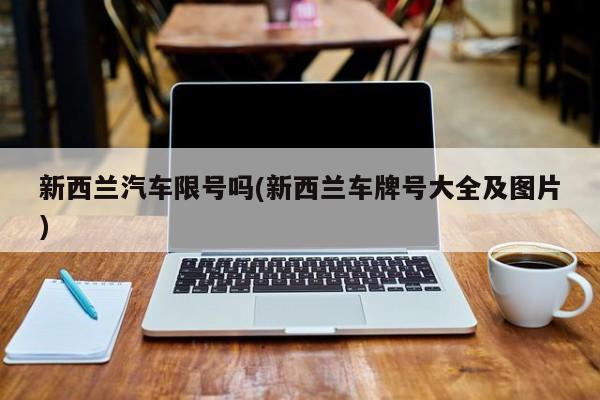 新西兰汽车限号吗(新西兰车牌号大全及图片)