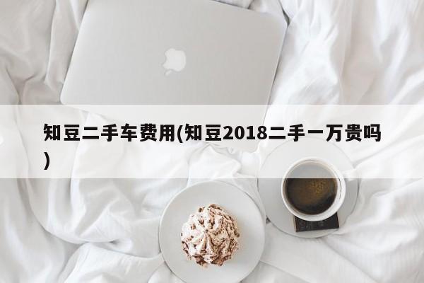 知豆二手车费用(知豆2018二手一万贵吗)