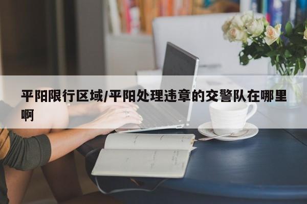 平阳限行区域/平阳处理违章的交警队在哪里啊