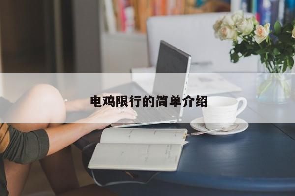 电鸡限行的简单介绍