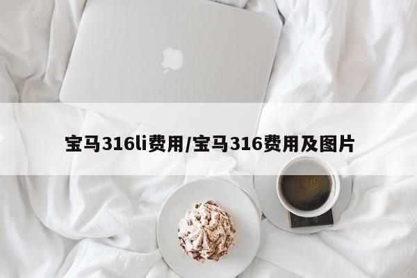 宝马316li费用/宝马316费用及图片