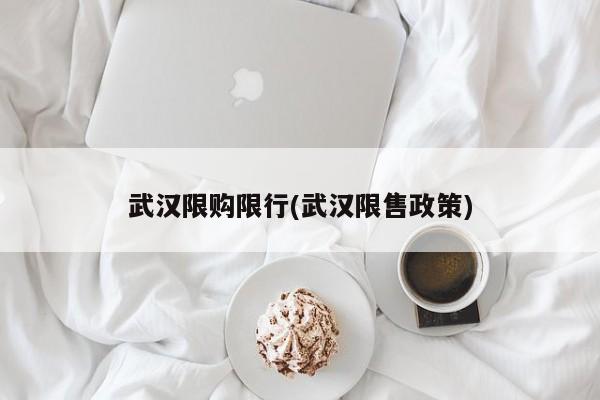 武汉限购限行(武汉限售政策)