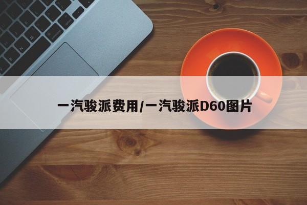 一汽骏派费用/一汽骏派D60图片