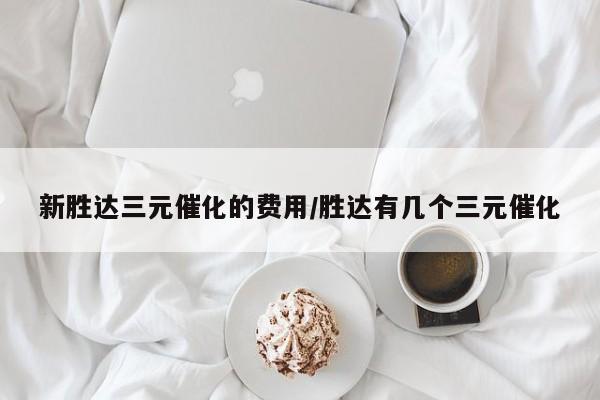 新胜达三元催化的费用/胜达有几个三元催化
