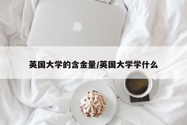 英国大学的含金量/英国大学学什么
