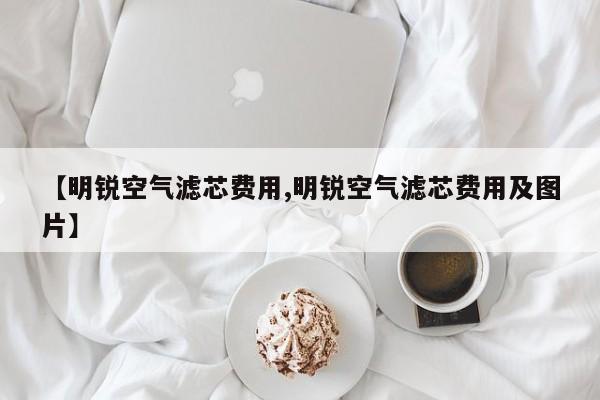 【明锐空气滤芯费用,明锐空气滤芯费用及图片】