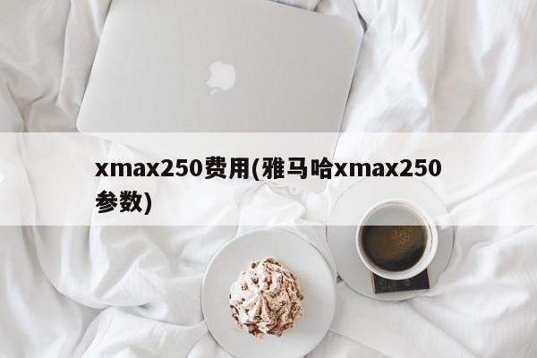 xmax250费用(雅马哈xmax250参数)