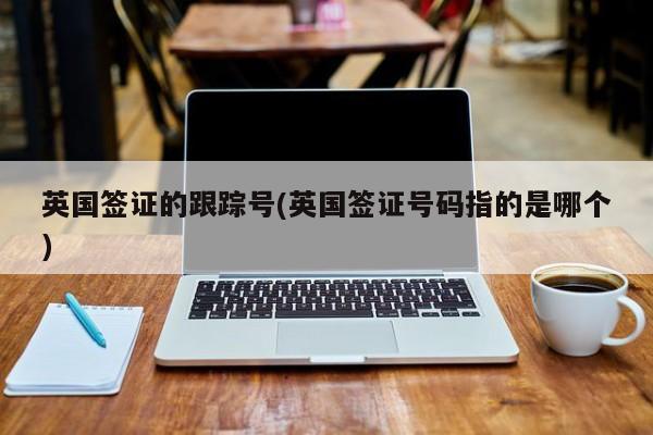 英国签证的跟踪号(英国签证号码指的是哪个)