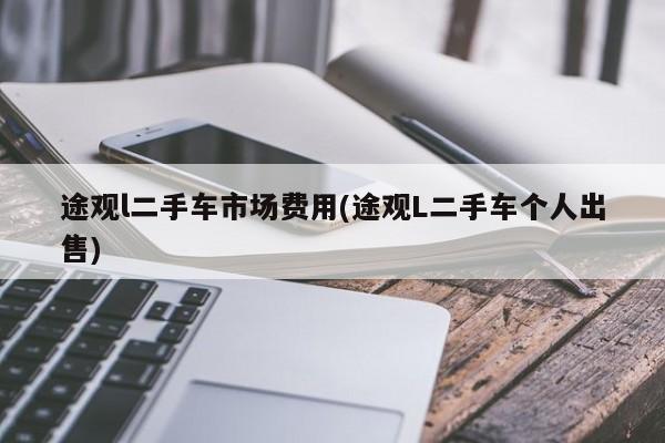 途观l二手车市场费用(途观L二手车个人出售)